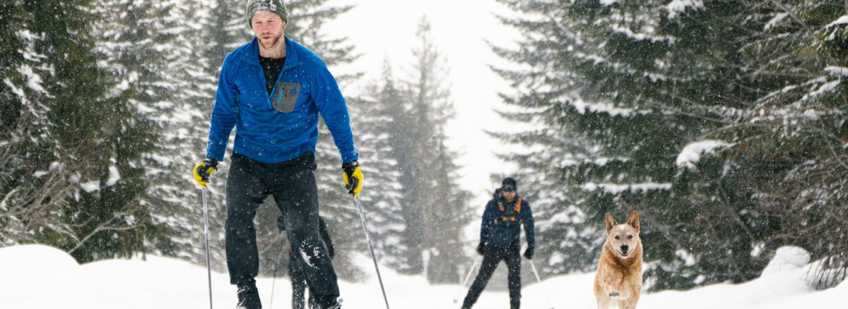 Group of cross-country skiers skate skiing with a dog at Raven Lodge Nordic Centre