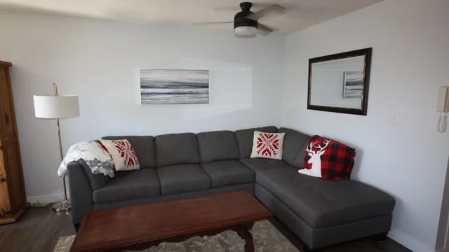 SleeperSofa